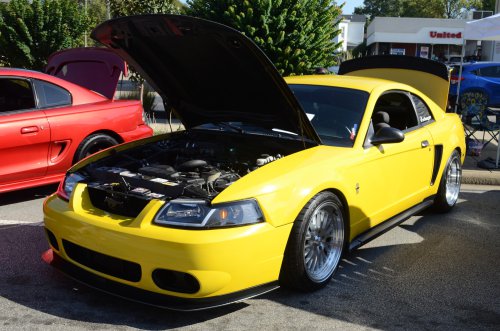 Mustangs Galloped to Batavia