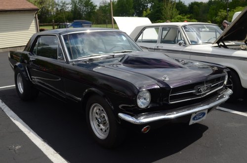 Muscle Cars, Sports Cars and Muscle at the Fellowship Baptist Church Show