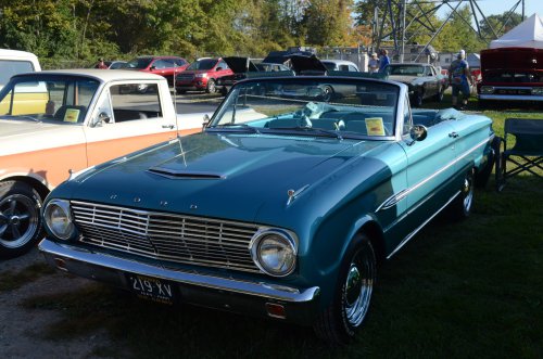 Falcons Nested at the Pumpkin Run