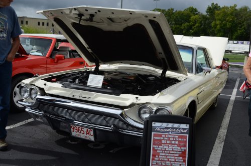 Some Variety but Still All Fords