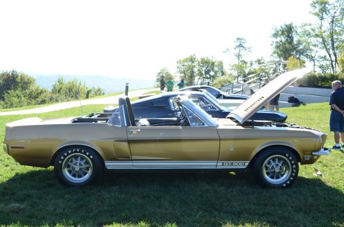 Concours Devou Hosted Fantastic Fords