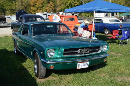 Mustangs At the Pumpkin Run Nationals
