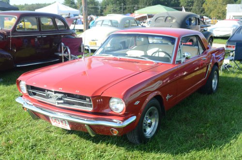 Mustangs At the Pumpkin Run