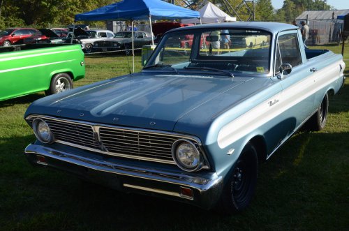 Falcons Nested at the Pumpkin Run