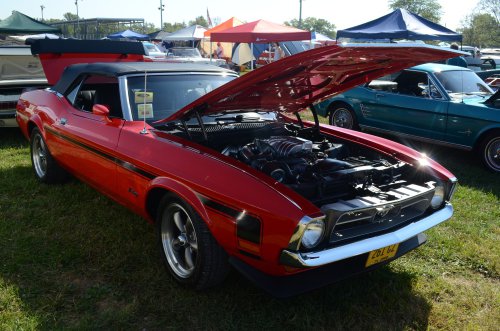 Mustang at the Pumpkin Run