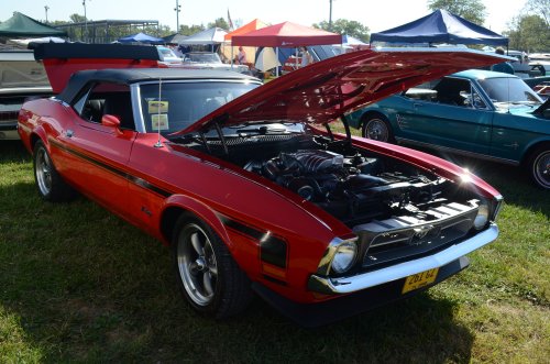 Mustang at the Pumpkin Run