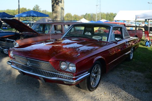 Thunderbirds Rose Up At the Pumpkin Run