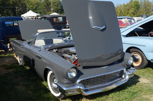 Thunderbirds Rose Up At the Pumpkin Run