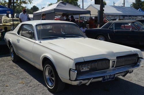 Pumpkin Run Variety