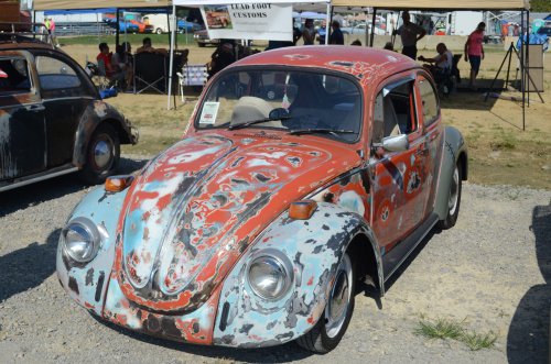 Beetles Crawled to the Pumpkin Run