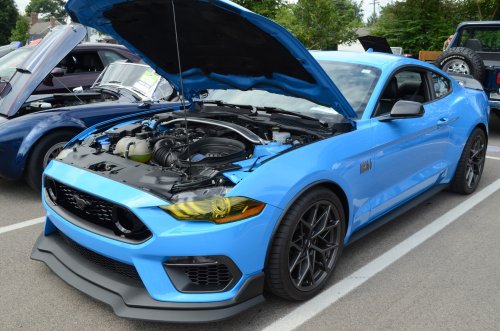 Some Muscle and Performance Was on Hand in Deer Park