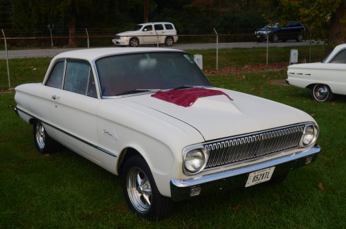 Falcons Flew to the Pumpkin Run