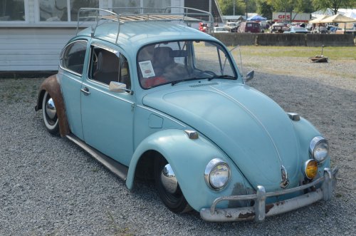 Beetles Crawled to the Pumpkin Run