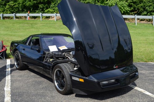 Light Turnout for Father's Day Show