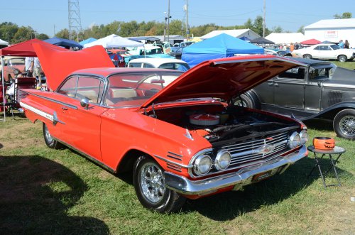 Back to the Pumpkin Run