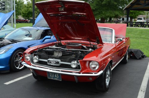 Nice Variety at the Untouchables Show