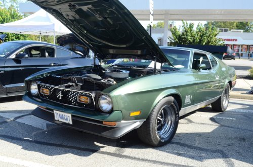 Mustangs Galloped to Batavia