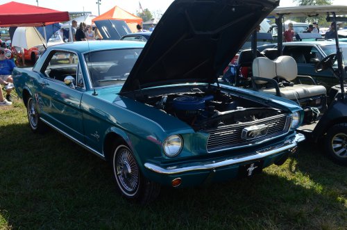 Mustang at the Pumpkin Run