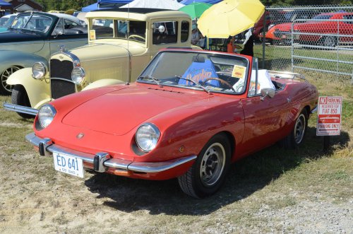 Foreigners Came to the Pumpkin Run