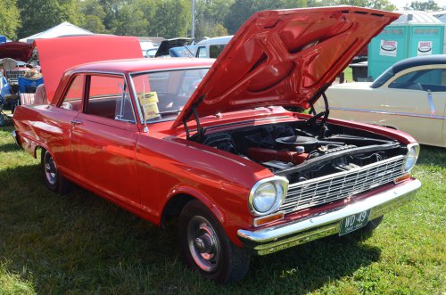 Back to the Pumpkin Run