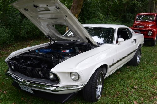 Mustangs Rolled into Fernbank Park