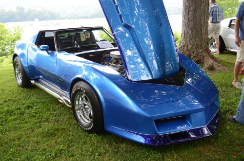 Corvettes Joined in to go Rollin' On the River