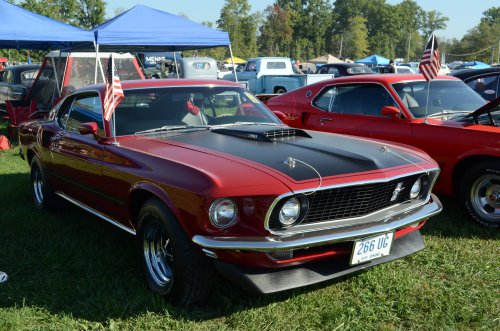 Mustangs At the Pumpkin Run Nationals