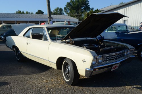 Back to the Pumpkin Run