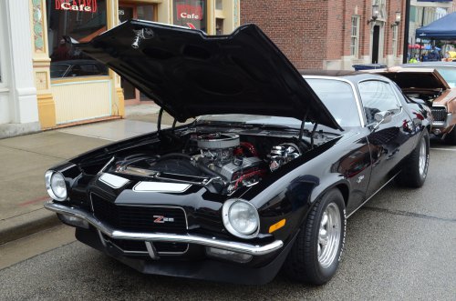 Back to Cruisin' to a Cure