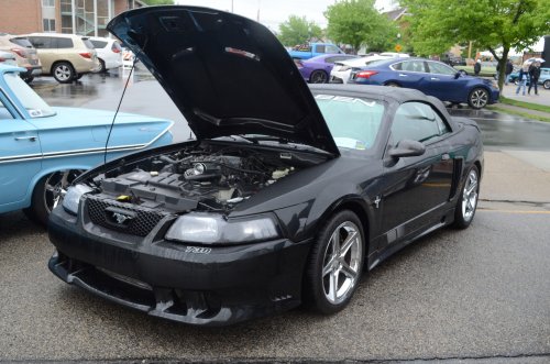Mustangs Rode Into Lawrenceburg