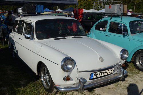 There Were Bugs at the Pumpkin Run