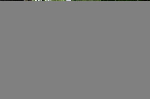 Wrapping Up Cruisin' to a Cure for ALS with MoPar