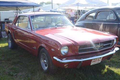 Mustang at the Pumpkin Run