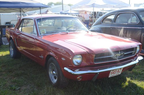 Mustang at the Pumpkin Run
