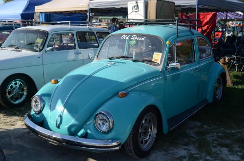 There Were Bugs at the Pumpkin Run