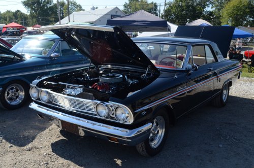 Falcons Nested at the Pumpkin Run