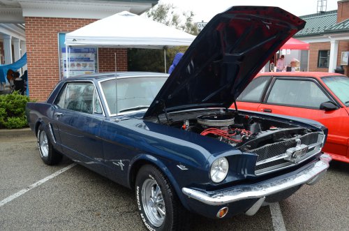 Mustang Cruised Into Lawrenceburg