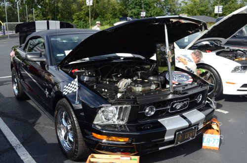Ford, A Lot of Mustangs At the All-Ford Car Event