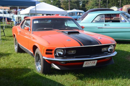 Mustangs At the Pumpkin Run