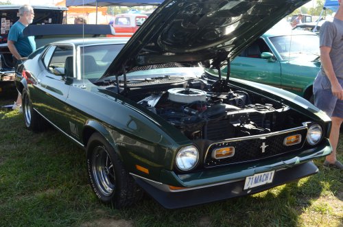 Mustang at the Pumpkin Run