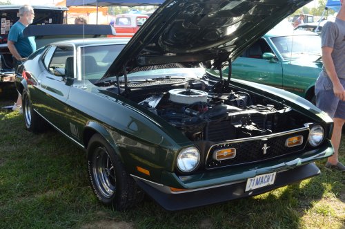 Mustang at the Pumpkin Run