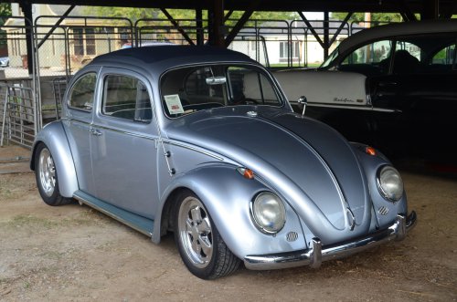Beetles Crawled to the Pumpkin Run