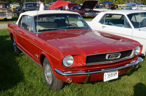 Mustangs At the Pumpkin Run