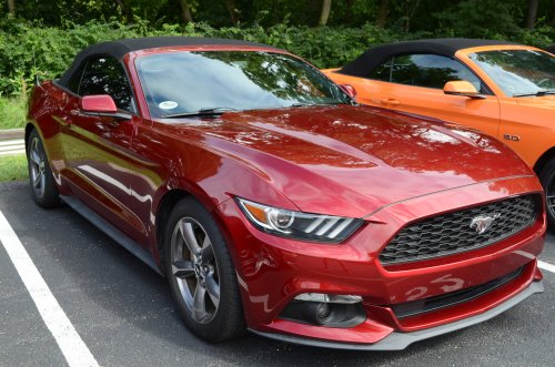 Ford Mustang, Ford, Tri-State Mustang Club Hosts All-Ford Show