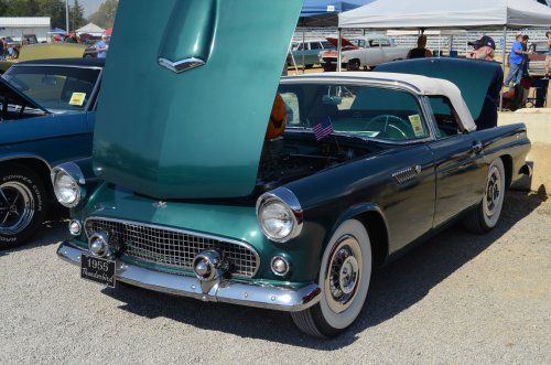 Thunderbirds Rose Up At the Pumpkin Run