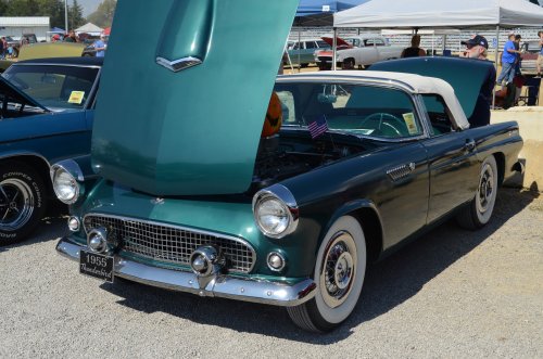 Thunderbirds Rose Up At the Pumpkin Run