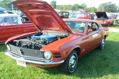 Mustangs Ponied Up at the Pumpkin Run Nationals