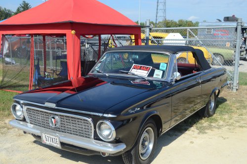 Great Variety at the Pumpkin Run