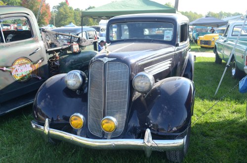 Gems Were On Hand for the Pumpkin Run