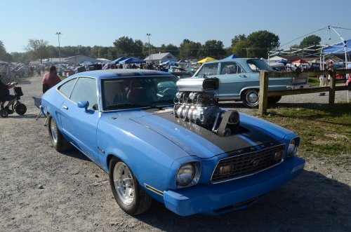 Customs At the Pumpkin Run